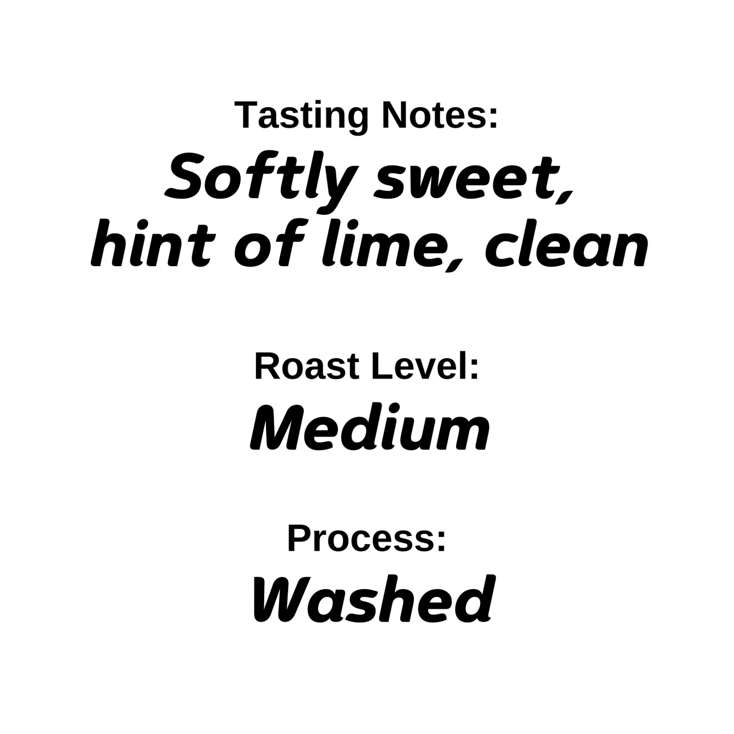 Central America - Guatemala - Antigua