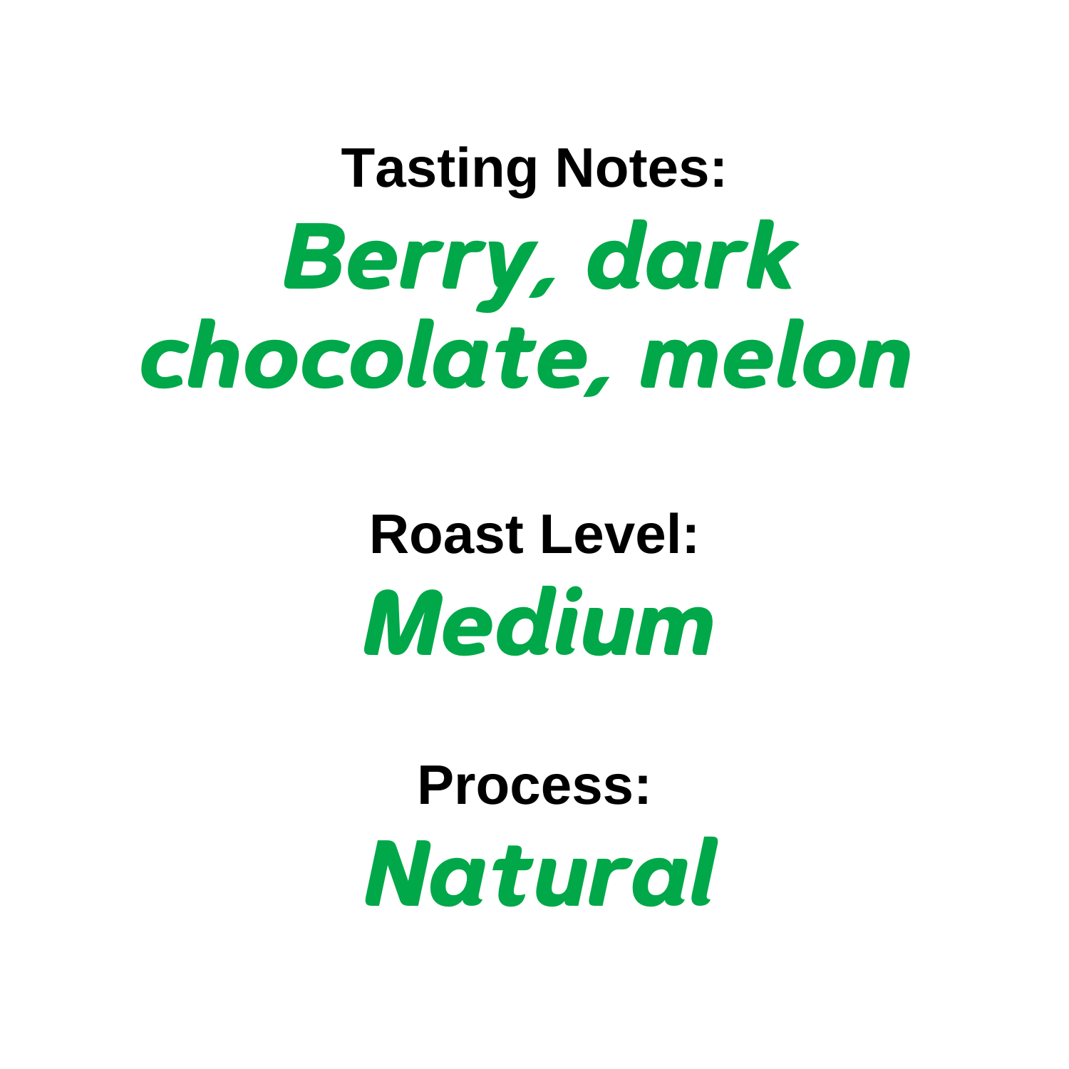 Nicaragua Jinotega - Medium Roast- Berry, dark chocolate, melon